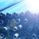 Illustration for article titled Everything We Currently Know About Tubes